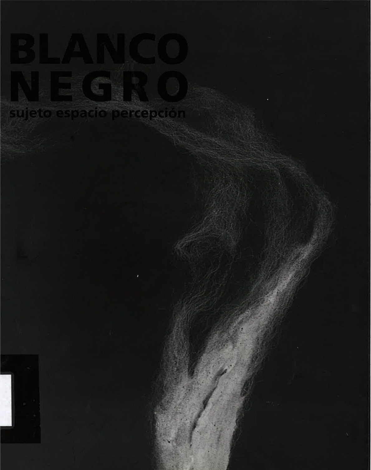 Black and White. Subject, Space and Perception