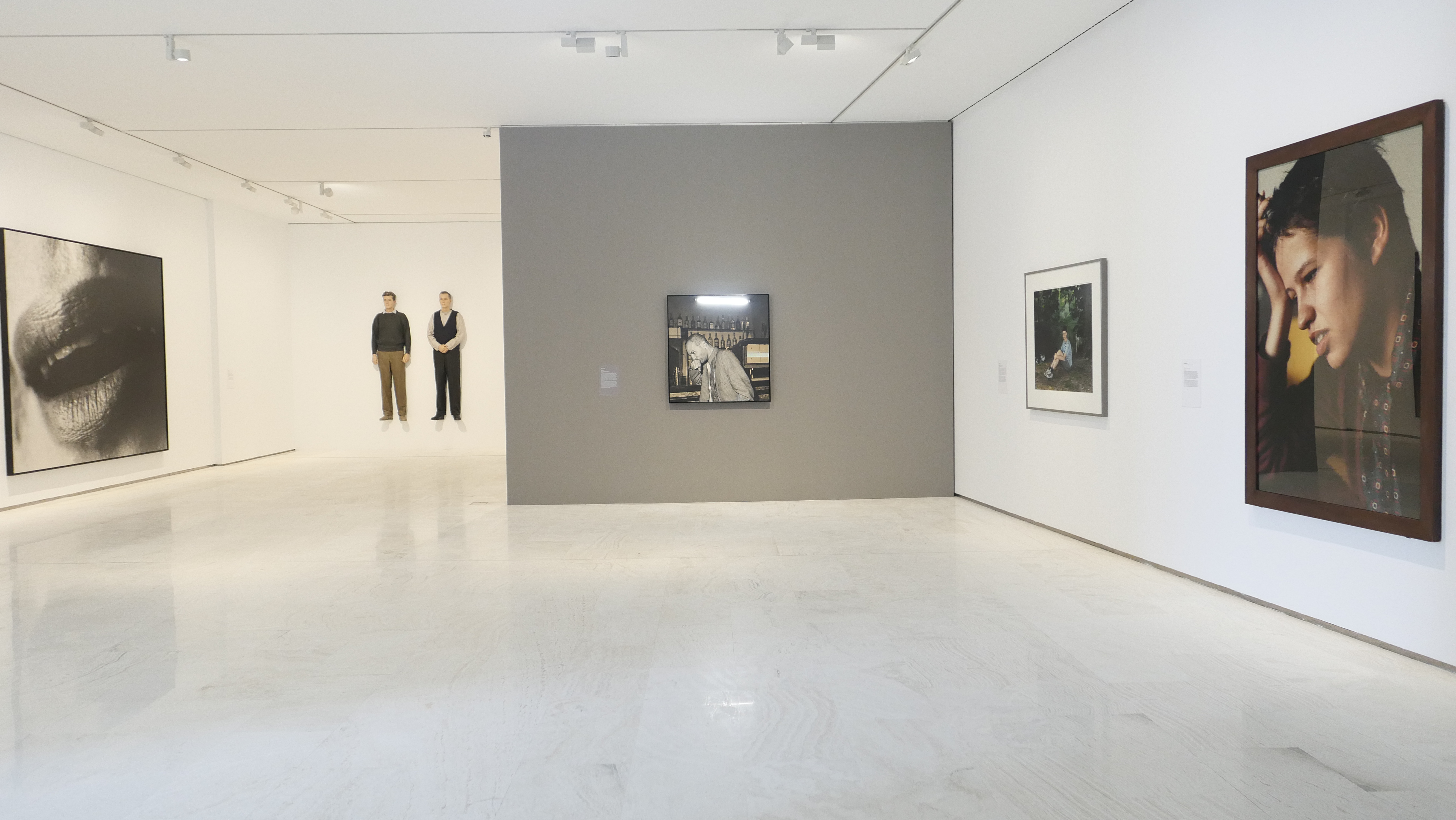¡Mirame! Retrats i altres ficcions en la Col·lecció "la Caixa" d'Art Contemporani