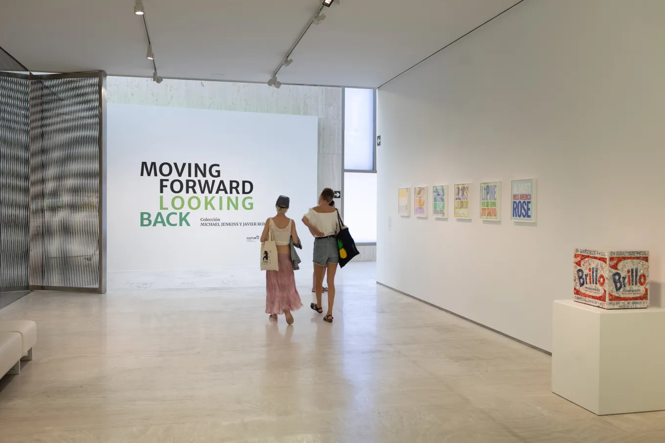 EL MACA presenta "Moving forward, Looking back" [Avançant, mirant enrere], la segona formada íntegrament per obres de la Col·lecció Michael Jenkins i Javier Romero