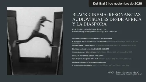 MACA - Museo de Arte Contemporáneo de Alicante