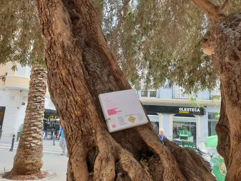 20190423_122737.jpg
