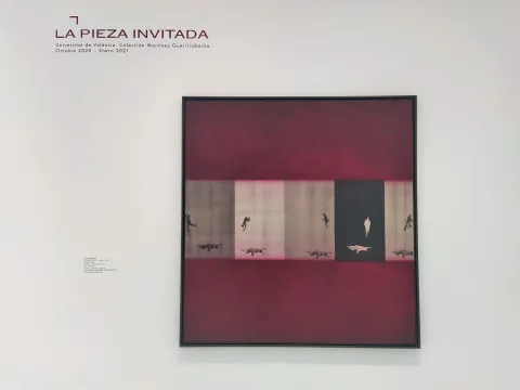 La-pieza-invitada_Genoves-scaled.jpg