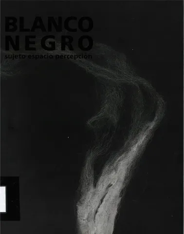 Blanc i Negre. Subjecte, espai i percepció